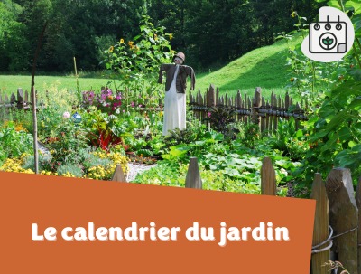 Conseils - Le calendrier du jardin