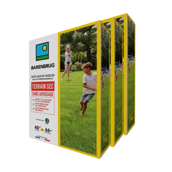 Gazon Terrain Sec 1kg - BARENBRUG