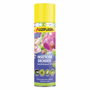 Anti-Insectes Orchidées – ALGOFLASH