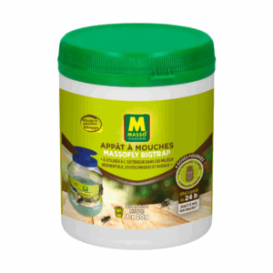 Appât à Mouches – MASSO