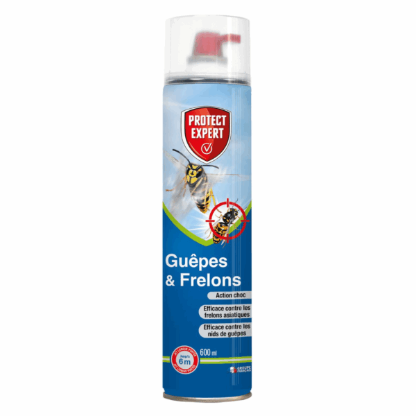 Bombe guêpes foudroyant 600 ml – PROTECT EXPERT