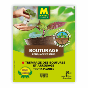 Bouturage 50 ml – MASSO