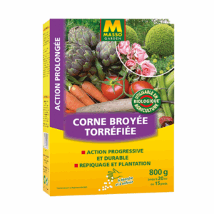 Corne Broyée – MASSO