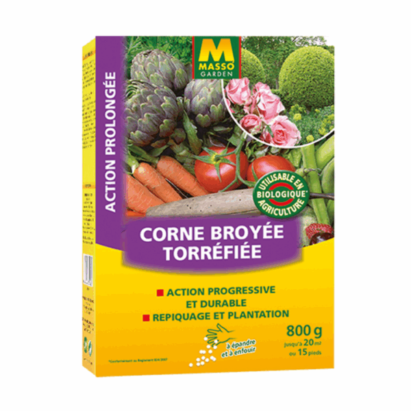 Corne Broyée – MASSO