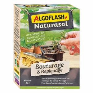 Poudre de Bouturage 20g – ALGOFLASH