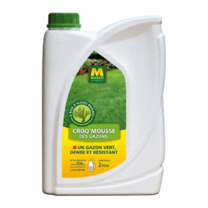 Croq Mousse 1L et 2L - MASSO