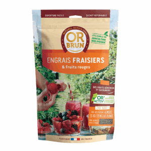 Engrais Fraisiers & Fruits Rouges 1,5 kg – OR BRUN