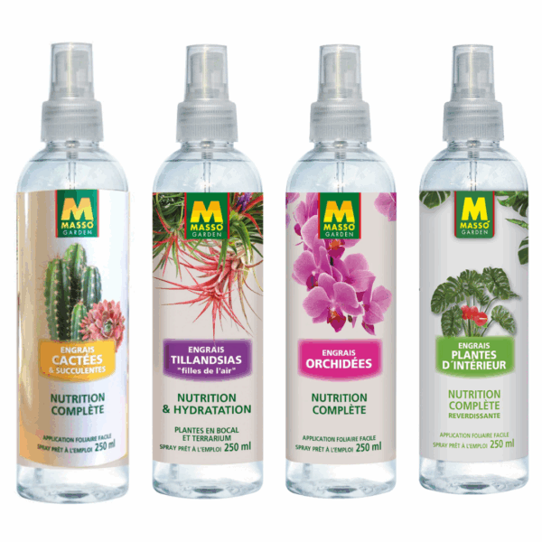 Engrais foliaire 250ml - MASSO